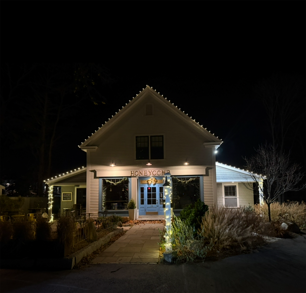 Holiday lights installation 1